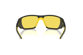 Vue arrière Ferrari Scuderia FZ6012U (516/V9)