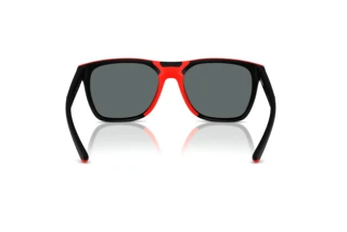 Vue arrière Ferrari Scuderia FZ6013D (504/81)