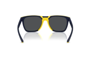 Vue arrière Ferrari Scuderia FZ6013D (509/55)