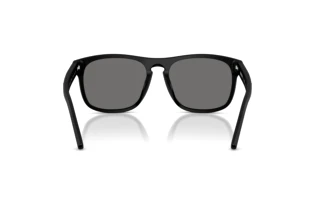 Vue arrière Ferrari Scuderia FZ6020U (701/81)