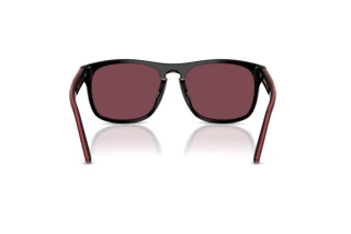 Vue arrière Ferrari Scuderia FZ6020U (741/1E)