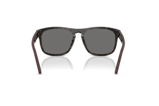 Vue arrière Ferrari Scuderia FZ6020U (742/81)