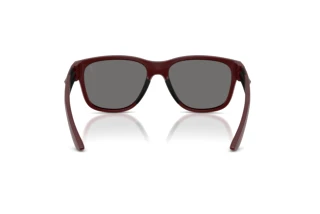 Vue arrière Ferrari Scuderia FZ6028U (530/81)