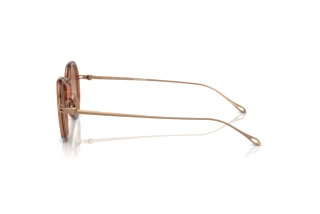 Vue latérale Giorgio Armani AR6147T (335213)