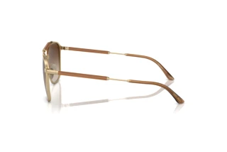 Vue latérale Giorgio Armani AR6149 (300213)