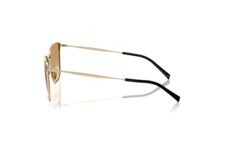 Vue latérale Giorgio Armani AR6155 (301313)