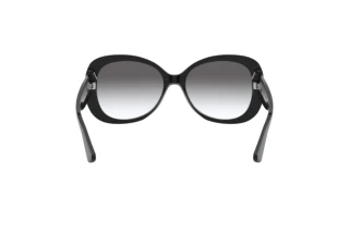 Vue arrière Giorgio Armani AR8132 (500111)