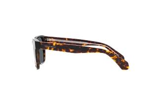 Vue latérale Giorgio Armani AR8155 (5879R5)