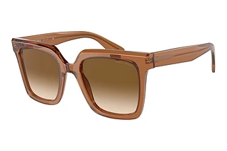 Vue de face Giorgio Armani AR8156 (593251)