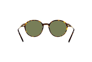 Vue arrière Giorgio Armani AR8160 (50262A)