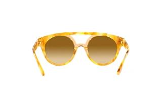 Vue arrière Giorgio Armani AR8163 (57612L)