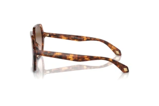 Vue latérale Giorgio Armani AR8193U (603351)