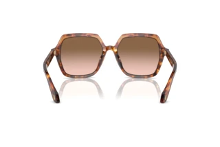 Vue arrière Giorgio Armani AR8193U (603351)