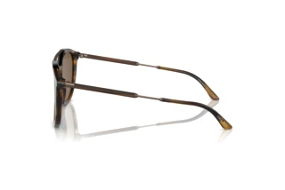 Vue latérale Giorgio Armani AR8198 (603773)