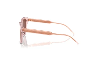 Vue latérale Giorgio Armani AR8210U (6073C5)