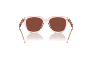 Vue arrière Giorgio Armani AR8210U (6073C5)