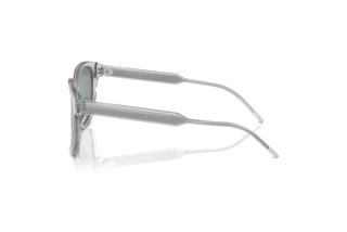 Vue latérale Giorgio Armani AR8210U (608056)