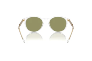 Vue arrière Giorgio Armani AR8211 (607514)