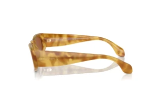 Vue latérale Giorgio Armani AR8216 (597973)