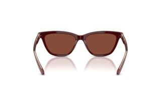 Vue arrière Giorgio Armani AR8221 (5955C5)