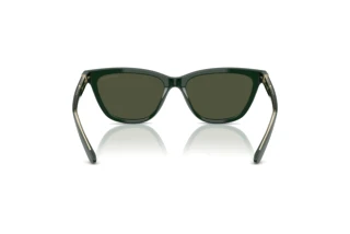 Vue arrière Giorgio Armani AR8221 (617331)