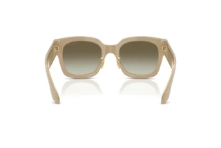 Vue arrière Giorgio Armani AR8223 (61618E)