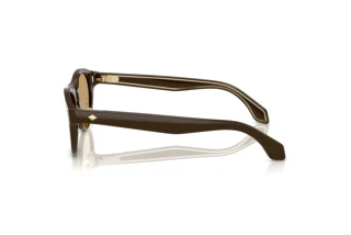 Vue latérale Giorgio Armani AR8225 (619473)