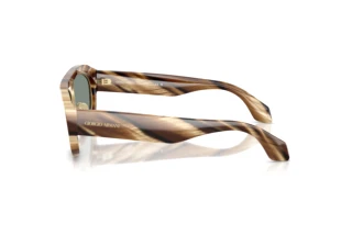 Vue latérale Giorgio Armani AR8239 (6065/1)