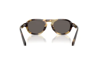 Vue arrière Giorgio Armani AR8244 (6301B1)