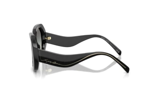 Vue latérale Giorgio Armani AR8248 (500111)