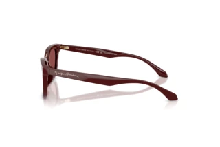 Vue latérale Giorgio Armani AR8253U (639775)