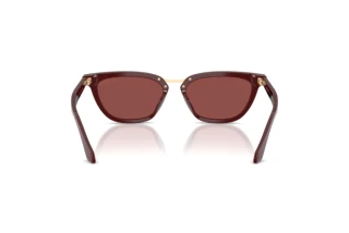 Vue arrière Giorgio Armani AR8253U (639775)