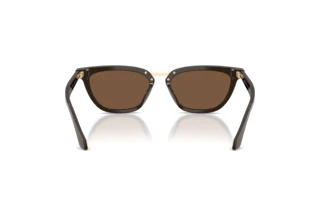 Vue arrière Giorgio Armani AR8253U (639873)