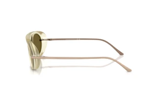 Vue latérale Giorgio Armani AR8256 (6409O8)