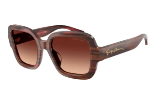 Vue de face Giorgio Armani AR8268U (647913)