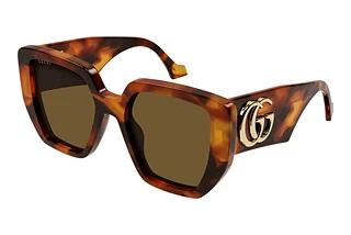 Gucci GG0956S 007 HAVANA