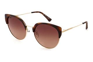 HIS Eyewear HPS34107 2 brown gradientdemi