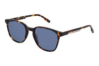 Hackett 3343 105