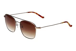 Hackett HSB905 429 Braun