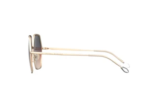 Vue latérale Isabel Marant IM 0119/S (000/FF)