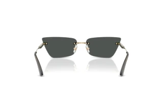 Vue arrière Jimmy Choo JC4012 (300687)