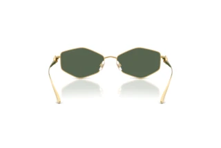 Vue arrière Jimmy Choo JC4017 (302371)