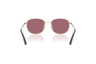 Vue arrière Jimmy Choo JC4025B (30061A)