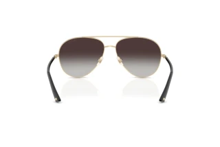 Vue arrière Jimmy Choo JC4026 (30068G)