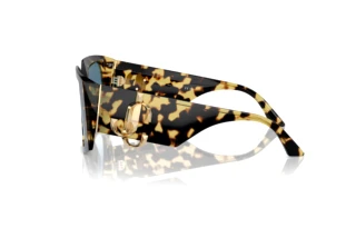 Vue latérale Jimmy Choo JC5006U (500419)