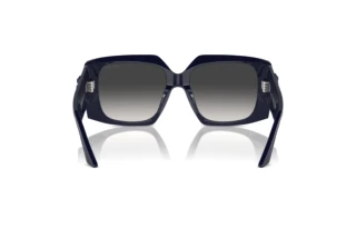 Vue arrière Jimmy Choo JC5006U (50168G)