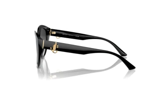 Vue latérale Jimmy Choo JC5007 (50008G)