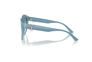 Vue latérale Jimmy Choo JC5007 (501219)