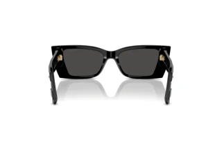 Vue arrière Jimmy Choo JC5009 (500087)