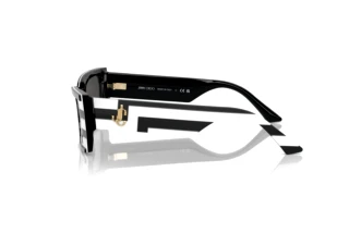 Vue latérale Jimmy Choo JC5009 (502987)